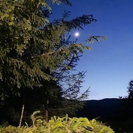 Kalmul Naturii, Iuresul Padurii Firiza-de-Jos Exterior foto