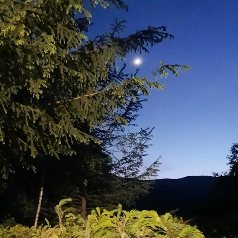 Kalmul Naturii, Iuresul Padurii Firiza-de-Jos Exterior foto